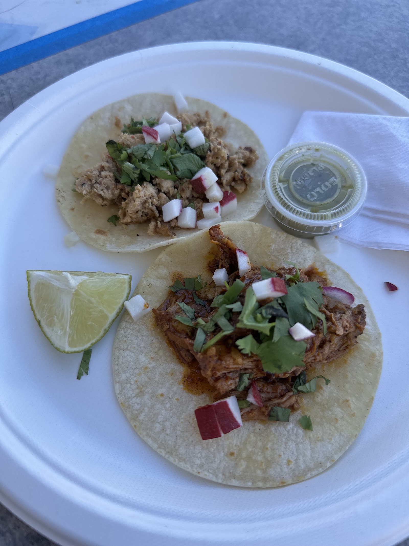 Two tacos are served on a white plate, topped with cilantro, diced onions, and seasoned meat.